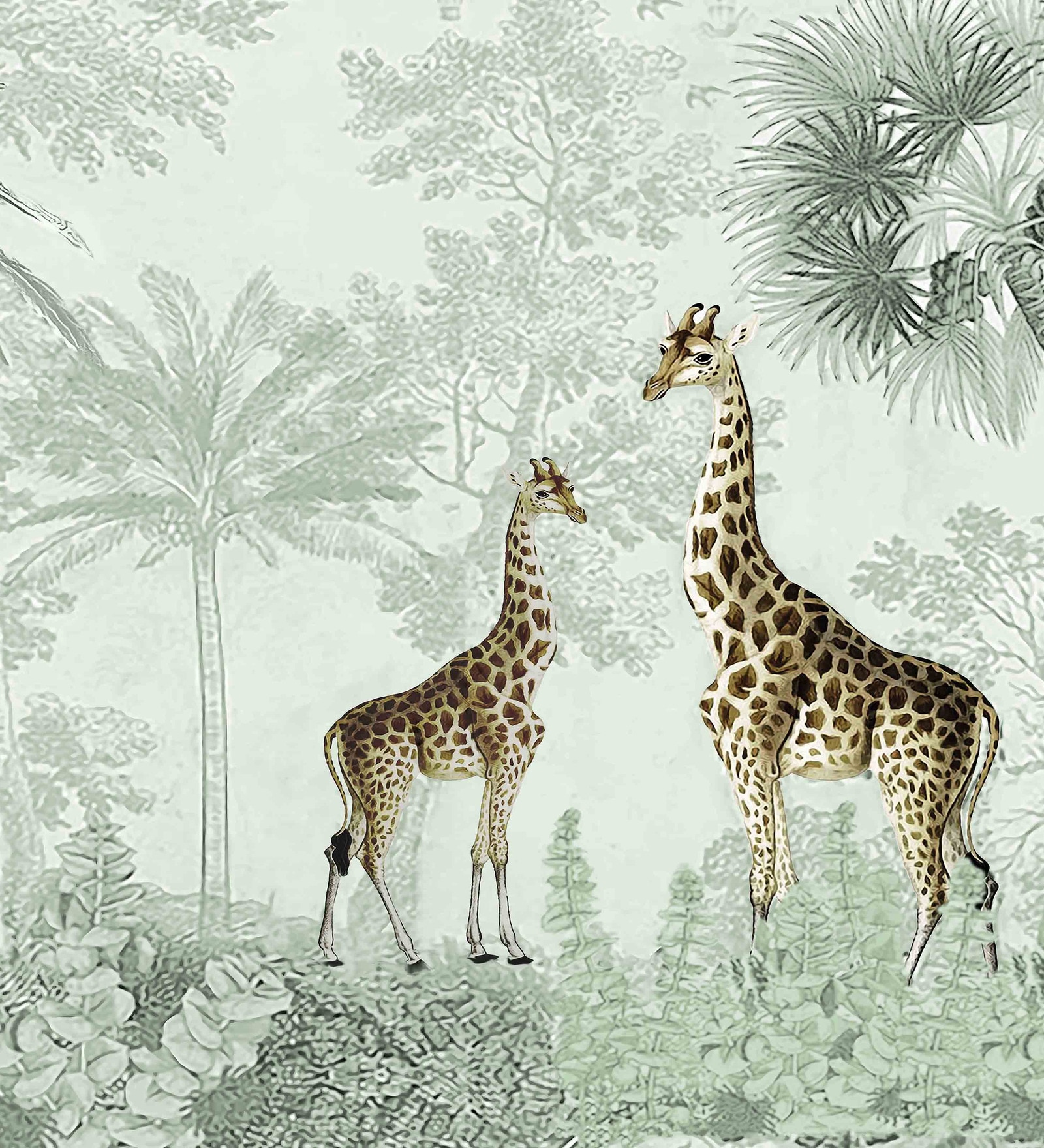 Safari Giraffe Duo Vinyl Decorative Self Adhesive Wallpaper (3 ft X 3 ft)