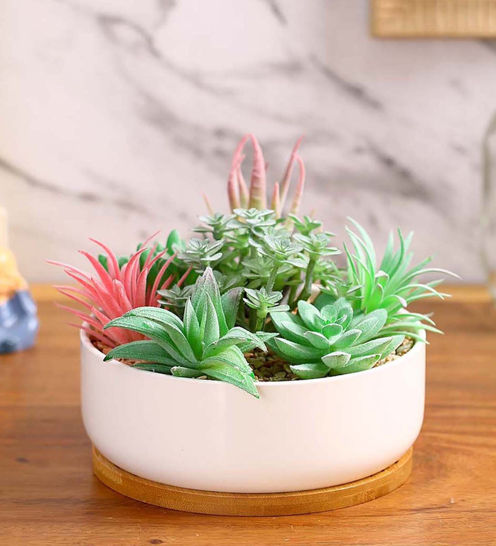 Polyurethane Lauren Multicolour Succculent In Ceramic Pot Artificial Plant