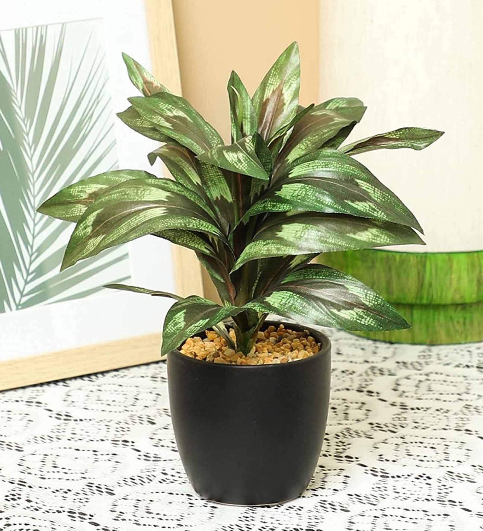 Pvc Multicolour Bonsai With Black Ceramic Pot Artificial Plants