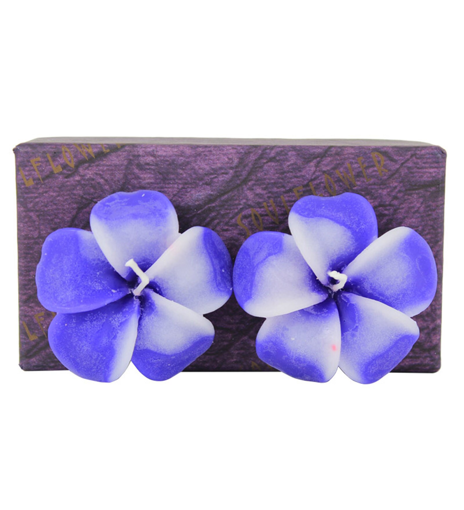 Multicolour Walk in The Wood Medium Aroma Hibiscus Floating Candle