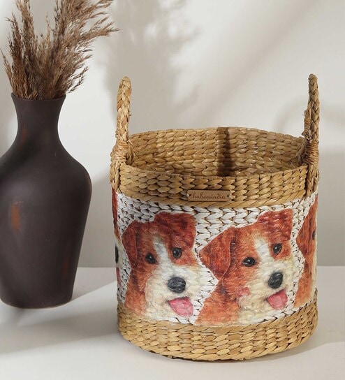 habereindia Multicolor Fibre Plant Basket-picture-30