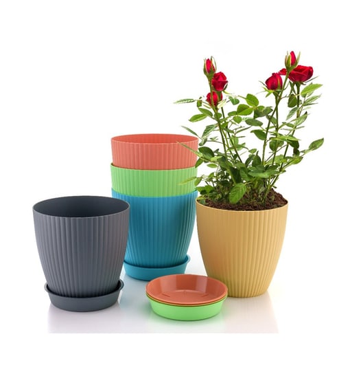 Multicolor Plastic Plant Pots (Pack Of 5)
