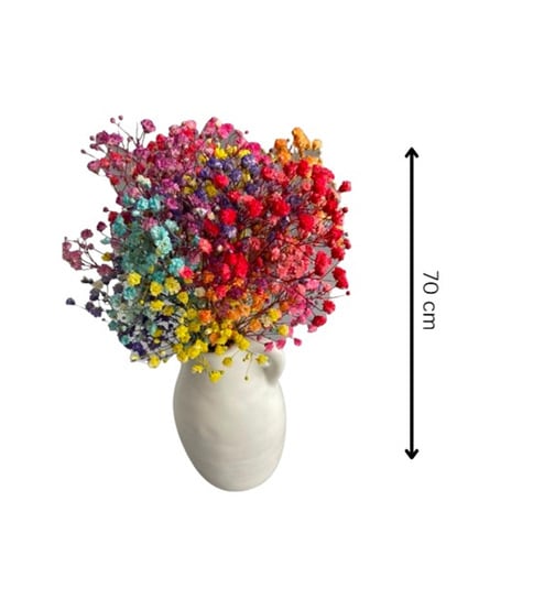 Multicolour Dried Flowers 50 To 60 Stems