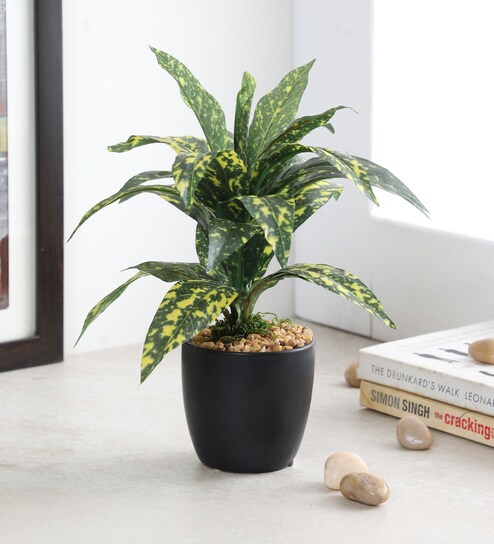 Buy Multicolour Fabric Artificial Croton Plant In A Ceramic Pot By