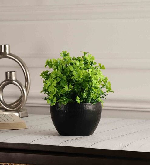 Multicolour Polyester and Plastic Artificial Plants By Foliyaj