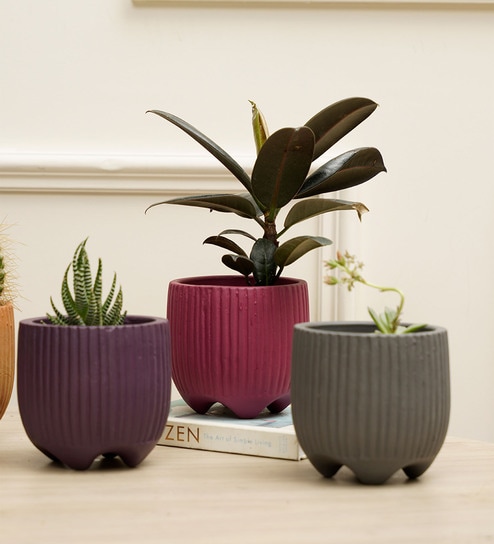 Sunbeam Combo Multicolour Terracotta (Set of 4) Desk Pot by Purezento