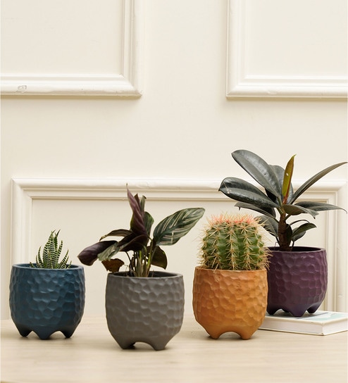 Pebble Combo Multicolour Terracotta (Set of 4) Desk Pot by Purezento