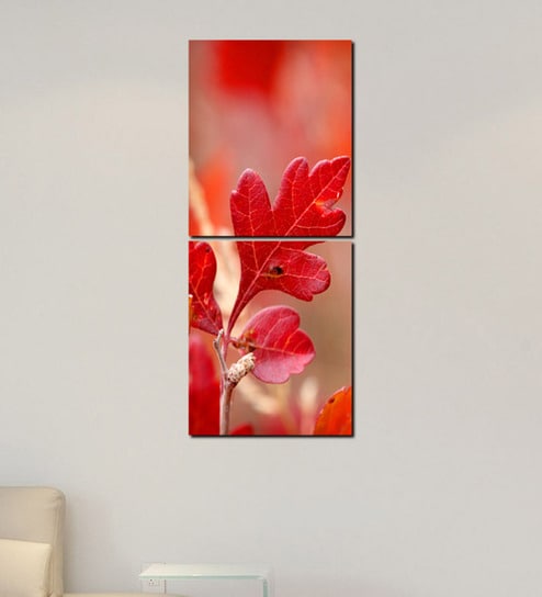 Multiple Frames Multicolor Wood Framed Floral Art Print Set of 2