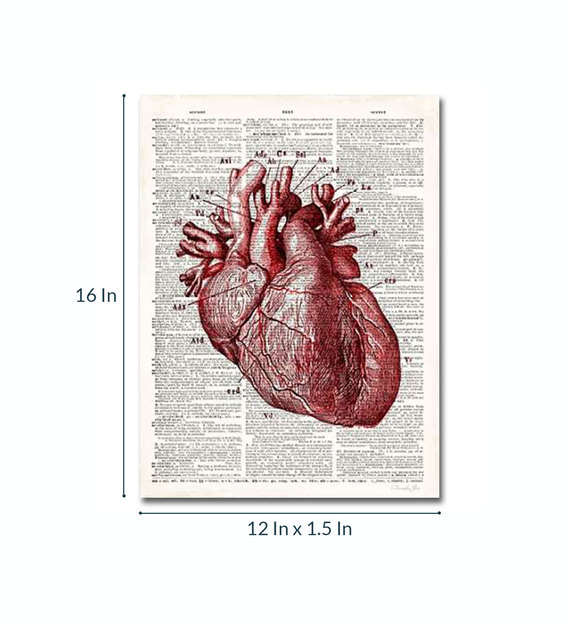 Buy Multicolour Wood Canvas Vintage Anatomy Heart Fine Art Wall Decor 12x16 Inch By Sayitwithart Online People Places Art Prints Art Prints Home Decor Pepperfry Product
