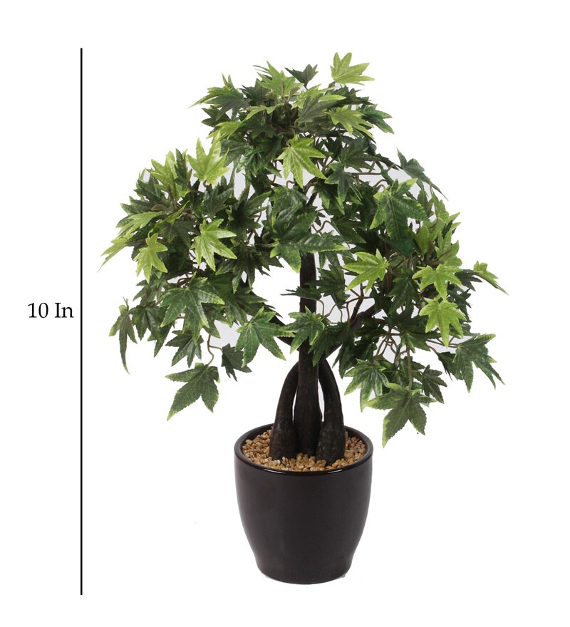 Buy Multicolour Polyester Artificial Bonsai Plant With Black Ceramic Pot by Pollination Online 