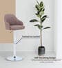 Muar Leatherette Bar Stool in Brown Colour