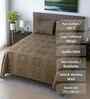 Mud Brown Floral 400 TC Cotton Queen Size Bedsheet with 2 Pillow covers Essential Series Collection
