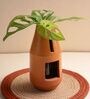Mud Red Terracota Bottle-Shaped  Indoor Planter With Glass Tube