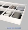Mudra  Queen Size Upholstered Bed In Blue Colour & White Colour With Box Storage