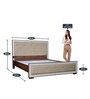 Mulan Queen Bed in Walnut Colour