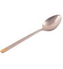 Stainless Steel Dinner Spoons Set of 6