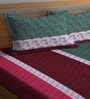 Multicolor Striped 300 TC 100% Cotton King Sized Bed Sheets with 2 Pillow Covers