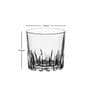 Classy Bone China  (Set of 6) Everyday Glasses
