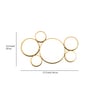 Metal & Glass Gold Multi Circle Mirror