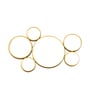 Metal & Glass Gold Multi Circle Mirror