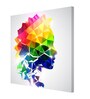 Multi Color Face Yellow ,Green ,Pink ,Blue Color Canvas Art Print