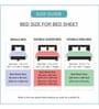 Multicolor Striped 180 TC Cotton Queen Sized Bed Sheets with 2 Pillow Covers