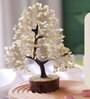Multi-Flourite Blue, Purple & Green Mixed Shades Chips Wooden Base Vastu Good Fortune Crystal Tree for Home/Office D cor for Gift