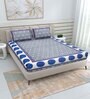 Blue Traditional 220 TC Cotton  Double Queen Bedsheet with 2 Pillow Covers