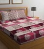 Multicolor Traditional 300 TC Cotton Blend Queen Sized Bed Sheets with 2 Pillow Covers