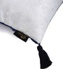 Blue Traditional Velvet 16 x 16 Inch Cushion Covers (Set of 2)