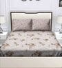 Multicolor Floral 180 TC Cotton Queen Sized Bed Sheets with 2 Pillow Covers