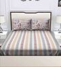 Multicolor Striped 180 TC Cotton Queen Sized Bed Sheets with 2 Pillow Covers