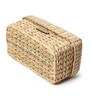 Multicolor  Seagrass Solid 10.24 x 5.91 Inches Storage Basket