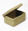 Multicolor  Seagrass Solid 11.02 x 9.1 Inches Storage Basket