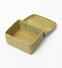 Multicolor  Seagrass Solid 11.02 x 9.1 Inches Storage Basket