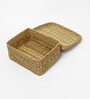 Multicolor Seagrass Solid 11.02 x 9.1 Inches Storage Basket
