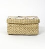 Multicolor Seagrass Solid 9.45 x 7.09 Inches Storage Basket