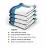 White Waffle Border  210 GSM 100% Cotton Bath Towel (Set of 4)