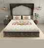 Brown Pecock 180 TC Cotton King Sized Bedsheet with 2 Pillow Covers