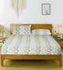 Multicolor Abstract 250 TC Cotton King Fitted Bedsheet with 2 Pillow Covers