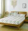 Multicolor Abstract 250 TC Cotton King Fitted Bedsheet with 2 Pillow Covers