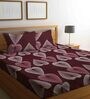 Maroon Abstract 280 TC Cotton Blend Queen Sized Bed Sheets with 2 Pillow Covers