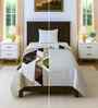 Multicolor Abstract 300 GSM Cotton Single Bed Size Comforter