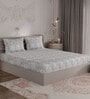Multicolor Abstract 300 TC 100% Cotton King Sized Bedsheet With 2  Pillow Covers Amorous Collection