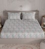 Multicolor Abstract 300 TC 100% Cotton King Sized Bedsheet With 2  Pillow Covers Amorous Collection