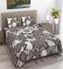 White & Coffee Abstract 400 TC Cotton Super King Flat Bedsheet with 2 Pillow Covers Essential Collection