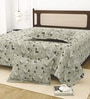 Multicolor Bedsheet 220 Tc Cotton King Bedsheet With 2 Pillow Covers