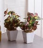 Multicolor Ceramic & Fabric Wandering Jew Bonsai Artificial Plant with Pot