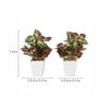 Multicolor Ceramic & Fabric Wandering Jew Bonsai Artificial Plant with Pot