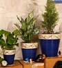 Multicolor Ceramic Balti Shape Flower Pot with with Hook Lines Print, Set of 3